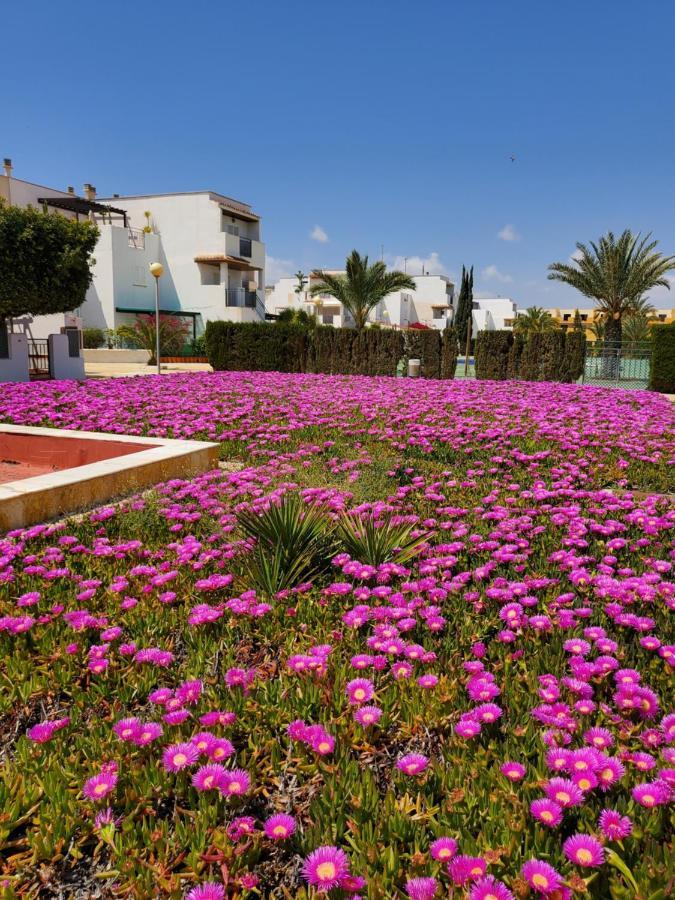 Duplex Espectacular En Primera Linea Naturista! Las Bombardas المظهر الخارجي الصورة